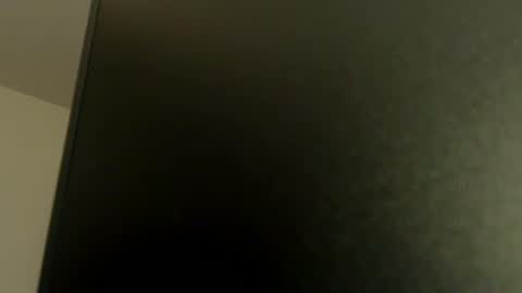 Snapshot of digitalgeordi chatting on 11.07.25 digitalgeordi online show from 11.07.25