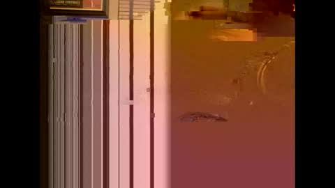 dildosnme22 online show from 01.13.25