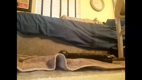 dildosnme22 online show from 03.10.25