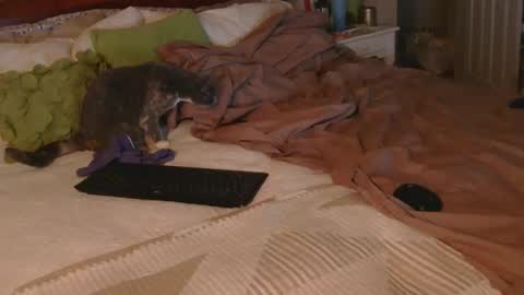 Snapshot of dildosnme22 chatting on 12.18.25 dildosnme22 online show from 12.18.25