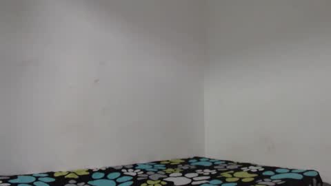 Dio online show from 01.15.26