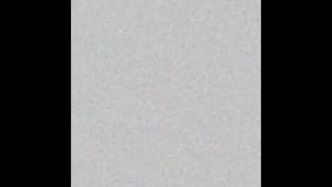 Dirk Diggler online show from 12.02.24