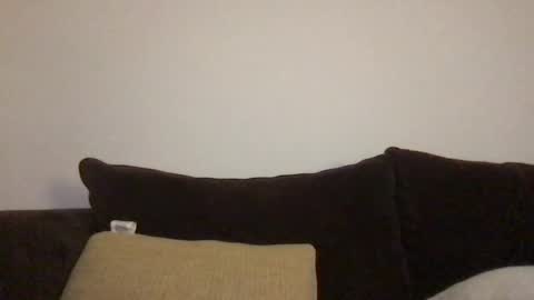 Snapshot of dizzydig chatting on 01.26.25 Dizzydig online show from 01.26.25