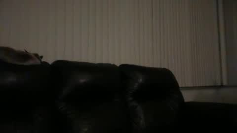 DJ Chaterbate online show from 03.31.26