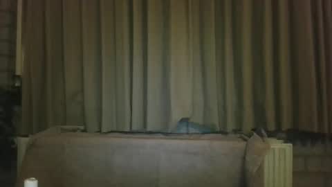 djensenhc online show from 01.11.26