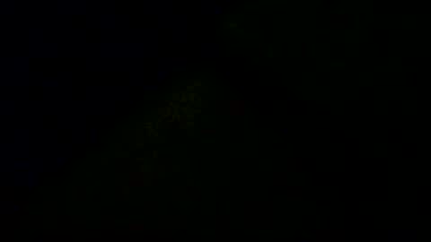 Doby online show from 12.16.25