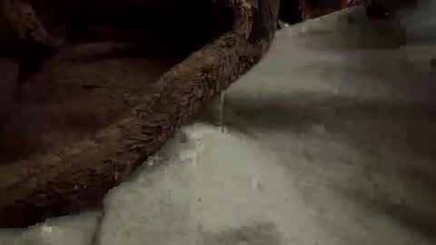 doingmek9 online show from 02.20.25