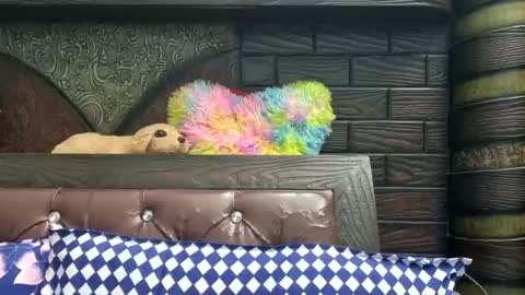 dollmeenu online show from 11.21.25