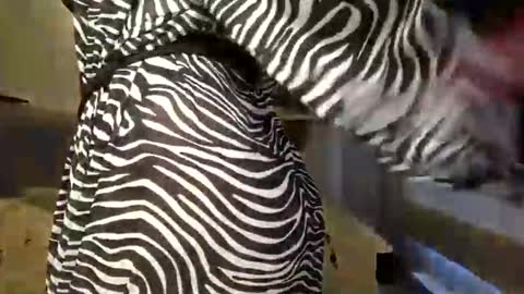 Snapshot of dom_mummy chatting on 03.09.25 DOM MUMMY online show from 03.09.25