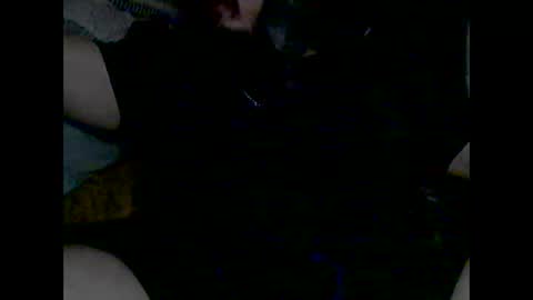 Snapshot of domanarchist chatting on 12.08.24 Sullyboyx online show from 12.08.24