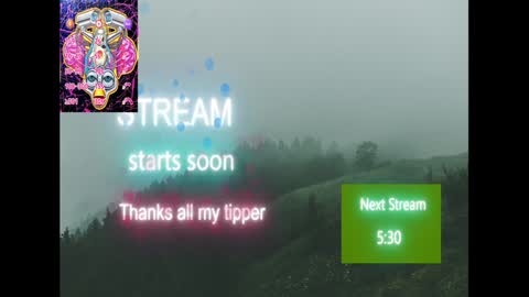 Snapshot of domanarchist chatting on 01.19.25 Sullyboyx online show from 01.19.25