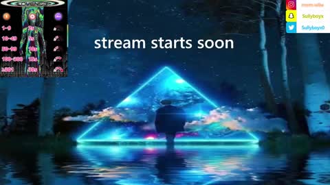 Snapshot of domanarchist chatting on 01.26.25 Sullyboyx online show from 01.26.25