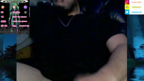 Snapshot of domanarchist chatting on 01.29.25 Sullyboyx online show from 01.29.25