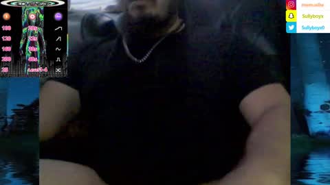 Snapshot of domanarchist chatting on 02.06.25 Sullyboyx online show from 02.06.25