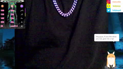 Snapshot of domanarchist chatting on 02.08.25 Sullyboyx online show from 02.08.25