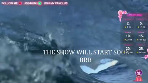 Snapshot of domina_deivis chatting on 03.06.25 I WILL BE BACK ON WEDNESDAY DECEMBER 4 0100AM COLOMBIA TIME online show from 03.06.25