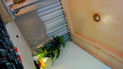 Snapshot of dominantgoddessontop chatting on 10.03.25 CALL ME BABY BELLA online show from 10.03.25