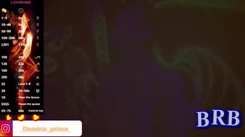 DOMINIC PRINCE   online show from 10.07.25