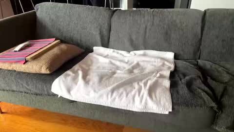 Snapshot of donizetti2017 chatting on 10.07.25 Alfredo online show from 10.07.25