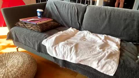 Snapshot of donizetti2017 chatting on 11.13.25 Alfredo online show from 11.13.25