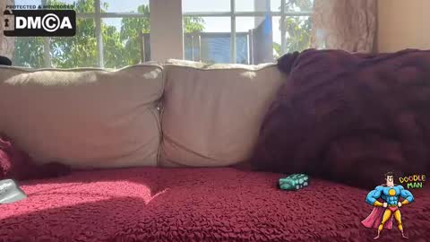 Snapshot of doodleman2077 chatting on 10.07.25 doodleman2077 online show from 10.07.25