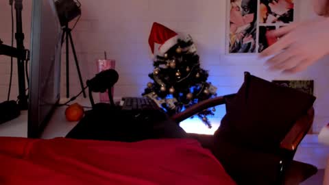   Next stream November 24    online show from 12.14.24