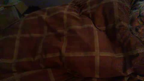 Snapshot of dorsetbiker714 chatting on 02.12.26 Hello welcome to Slutsville I am the Naked Chef really but you may call me Peter online show from 02.12.26