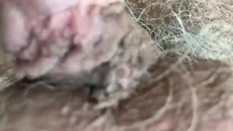 Snapshot of dotstir chatting on 07.21.26 dotstir online show from 07.21.26