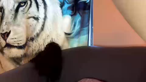 dove_love22 online show from 10.17.25