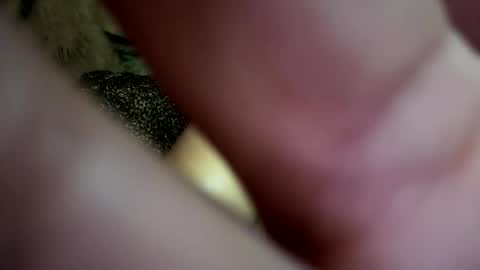 dove_love22 online show from 11.21.25