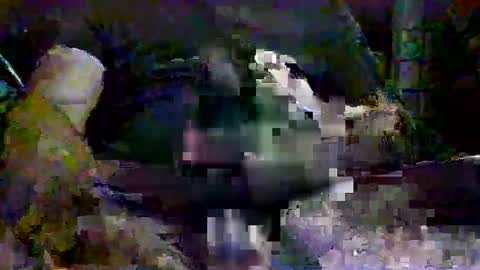 drako1976111 online show from 09.13.25