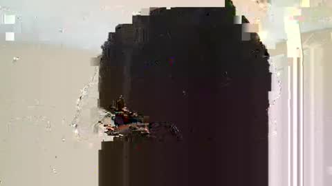 Dread online show from 03.10.25