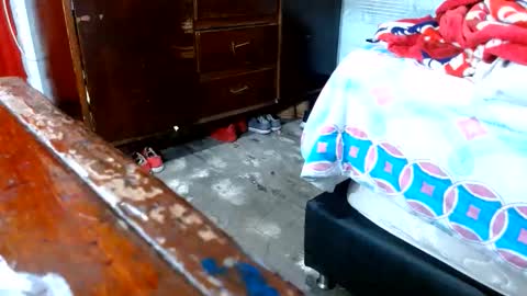 dreamreal online show from 11.10.25