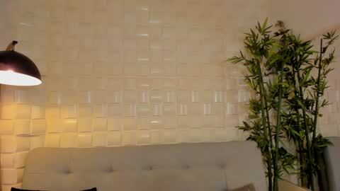 Snapshot of dreammr1 chatting on 01.15.25 cris online show from 01.15.25