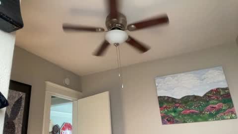 Snapshot of dreamyriri chatting on 12.17.24 RIRI OR DREAMY online show from 12.17.24