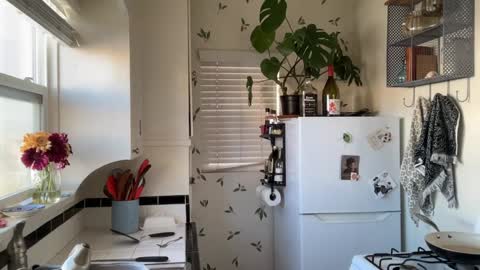 Snapshot of dreamyriri chatting on 12.18.24 RIRI OR DREAMY online show from 12.18.24