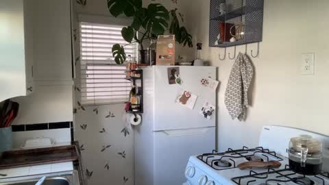 Snapshot of dreamyriri chatting on 01.27.25 RIRI OR DREAMY online show from 01.27.25