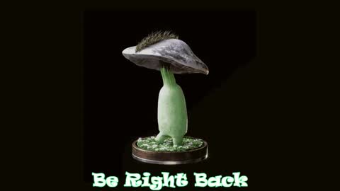 Tara  Sonny online show from 02.11.25