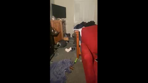 Drippy kitty  online show from 12.22.25