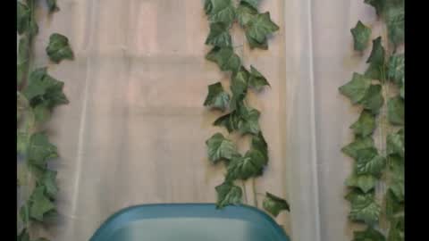 Snapshot of dripqueenx chatting on 09.28.25 linda online show from 09.28.25