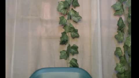 Snapshot of dripqueenx chatting on 09.29.25 linda online show from 09.29.25