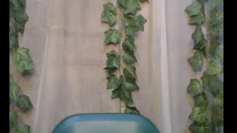 Snapshot of dripqueenx chatting on 09.30.25 linda online show from 09.30.25