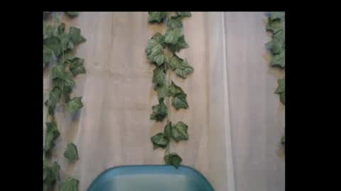 Snapshot of dripqueenx chatting on 10.03.25 linda online show from 10.03.25