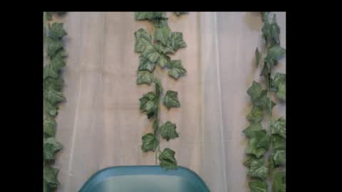 Snapshot of dripqueenx chatting on 10.06.25 linda online show from 10.06.25