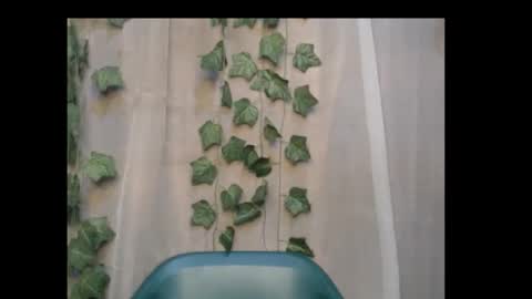 Snapshot of dripqueenx chatting on 10.08.25 linda online show from 10.08.25