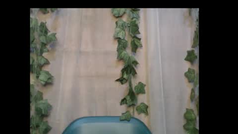 Snapshot of dripqueenx chatting on 10.14.25 linda online show from 10.14.25