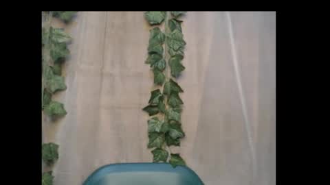 Snapshot of dripqueenx chatting on 10.15.25 linda online show from 10.15.25