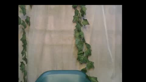 Snapshot of dripqueenx chatting on 10.16.25 linda online show from 10.16.25