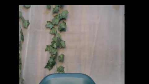 Snapshot of dripqueenx chatting on 10.18.25 linda online show from 10.18.25