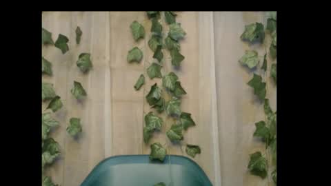 Snapshot of dripqueenx chatting on 10.26.25 linda online show from 10.26.25